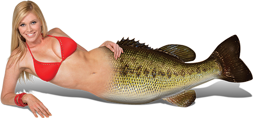 Miss Largemouth Bass