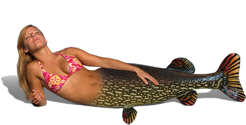 Miss Northern Pike